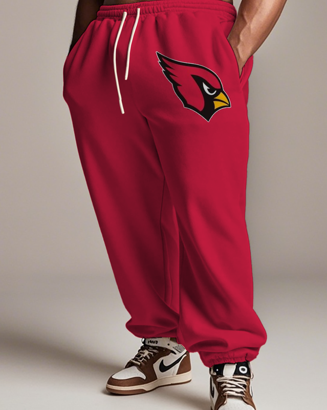 Cardinals Men's Plus Size Hoodie