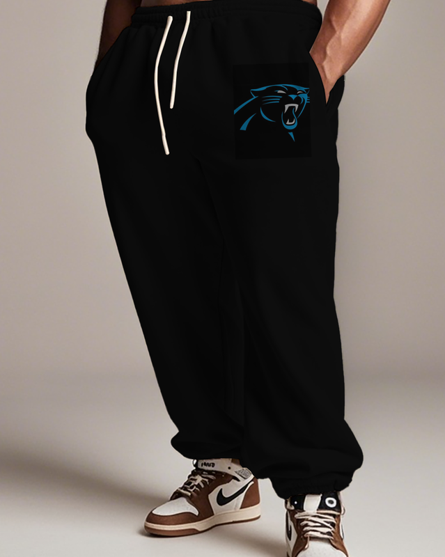 Sweat à capuche grande taille pour homme Panthers